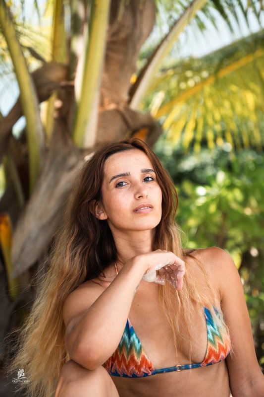 Beneath the palms — Praslin