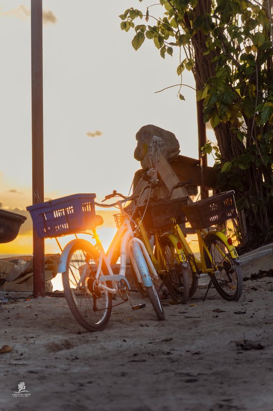 Sunset Cycle — La digue