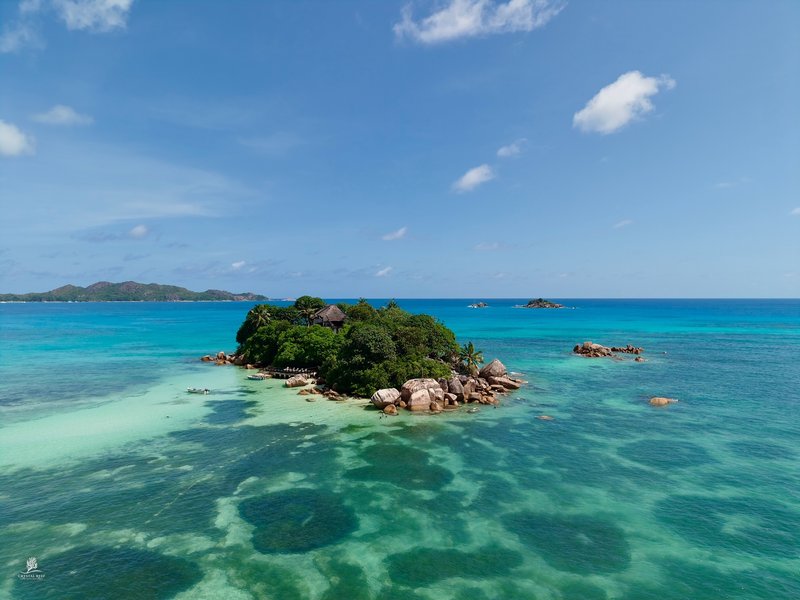 Chauve Souris — Praslin