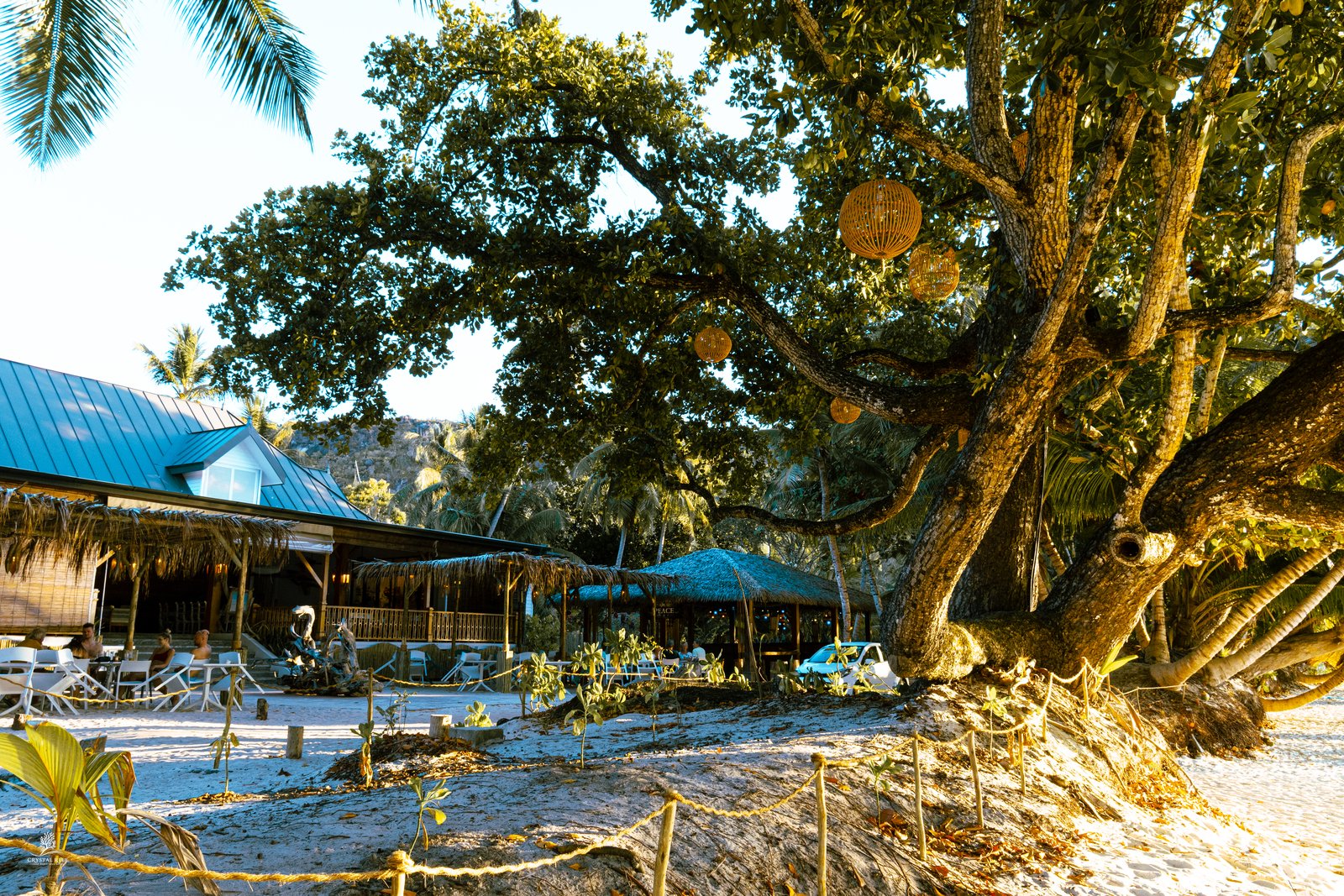 Beneath the Takamaka — Praslin