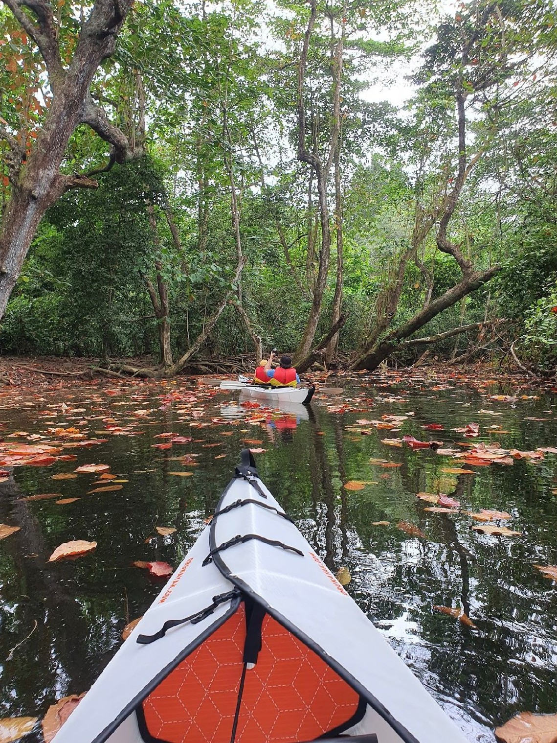 Crystal Kayak
