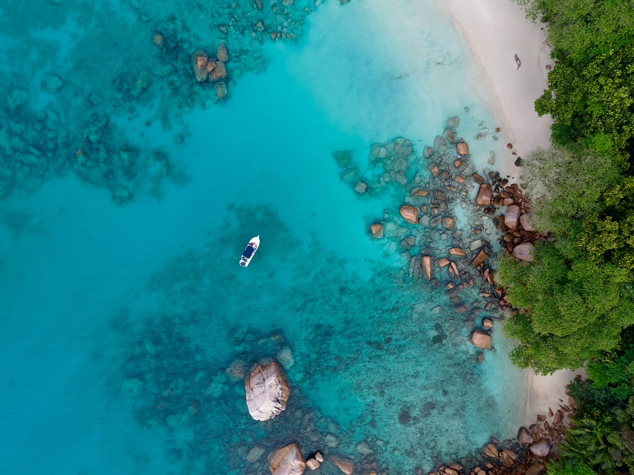 Private Full Day Adventure Snorkeling & BBQ